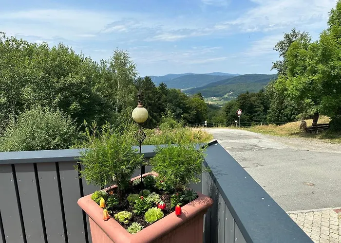 Modernes Top Apartment Mitten Im Bayerischen Wald + Wlan Kostenfrei