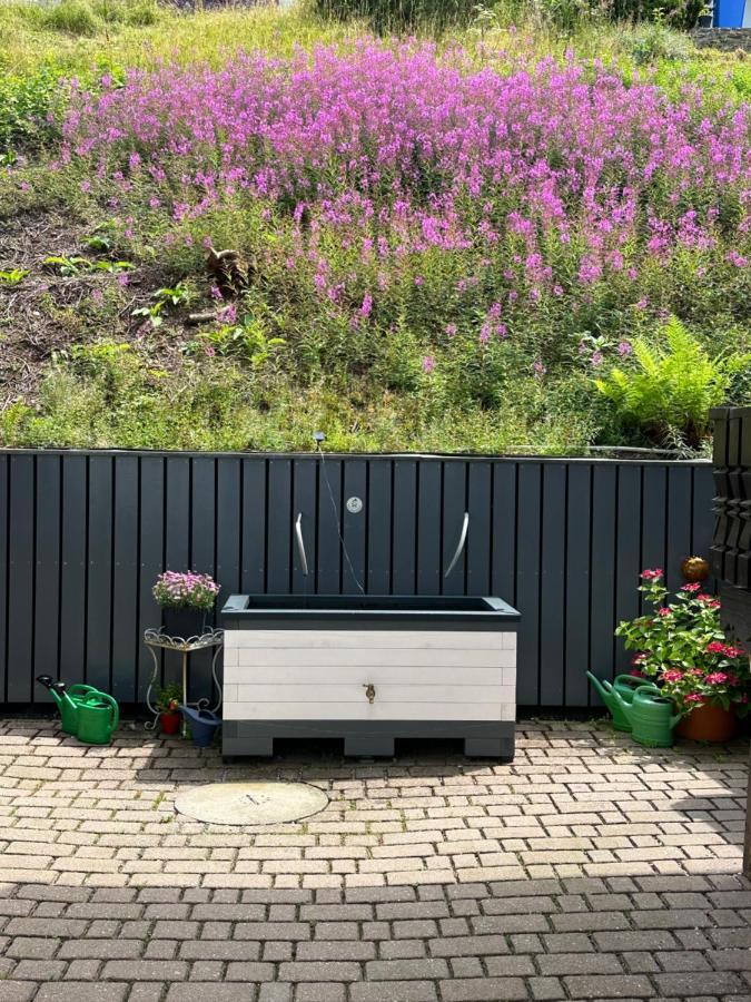 Apartment Modernes Mitten Im Bayerischen Wald + Wlan Kostenfrei Schöfweg