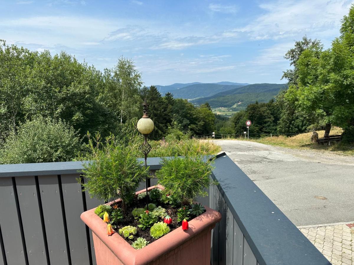 Modernes Mitten Im Bayerischen Wald + Wlan Kostenfrei *