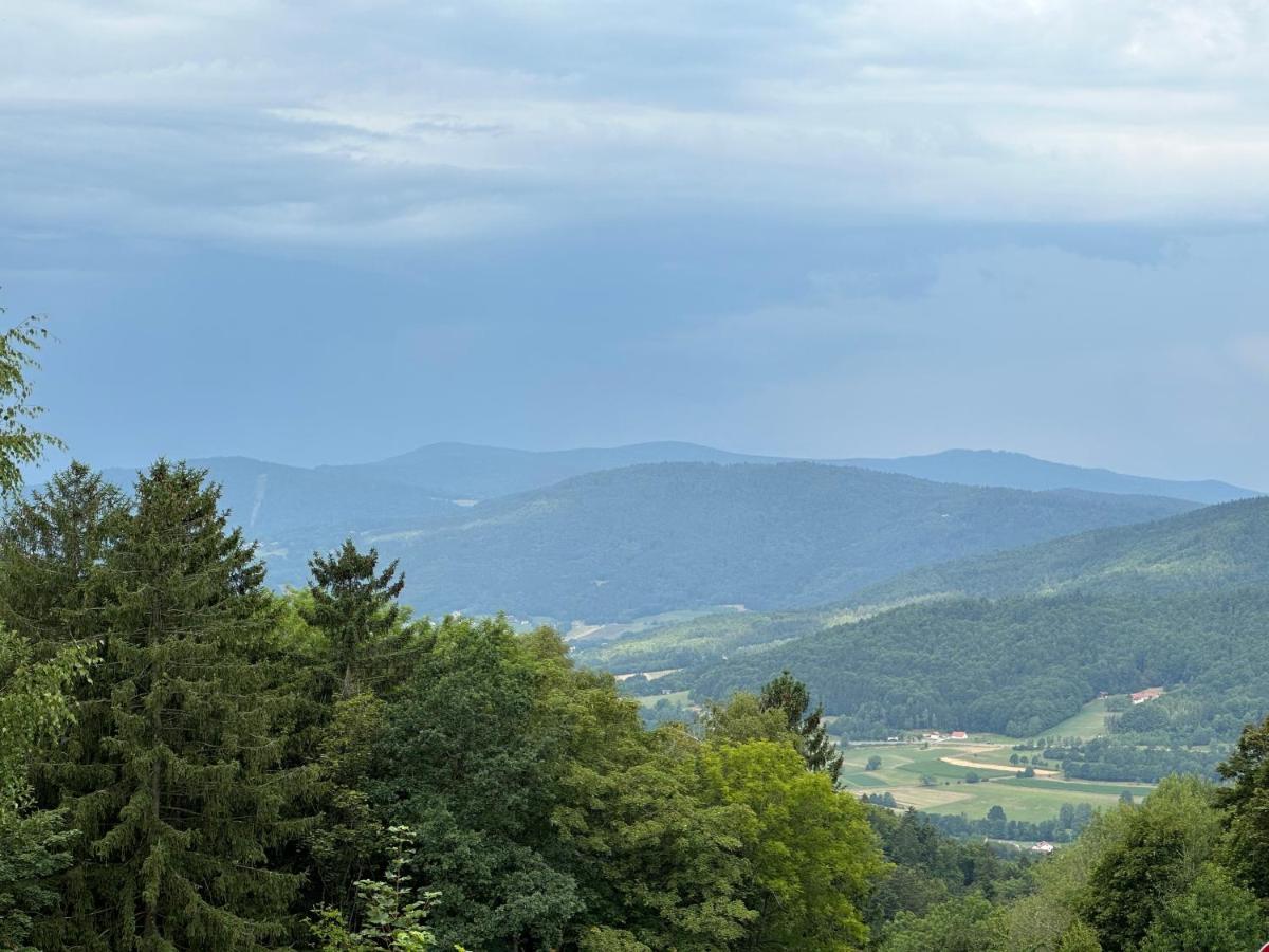 Modernes Mitten Im Bayerischen Wald + Wlan Kostenfrei *
